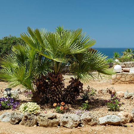 Seashore Apartments Chorafakia Exterior foto